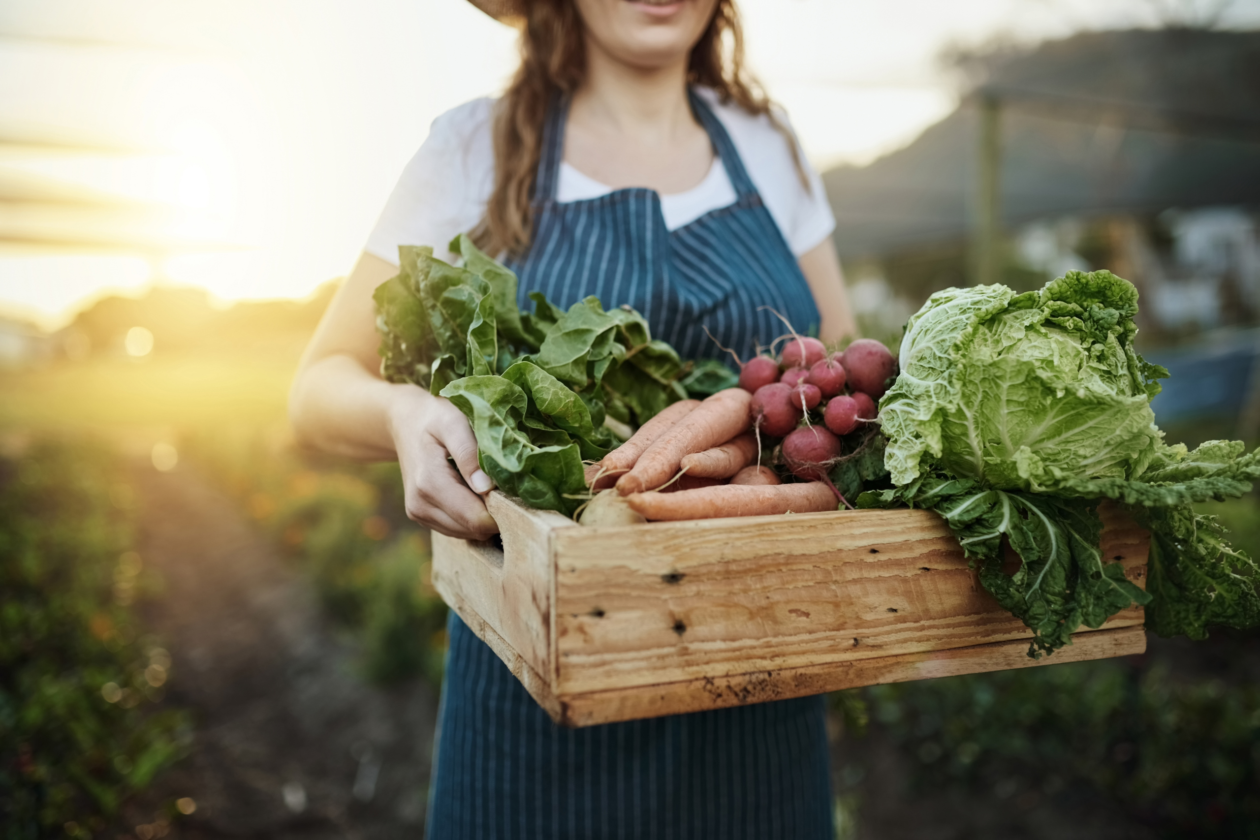 Какие продукты готовить в начале лета
