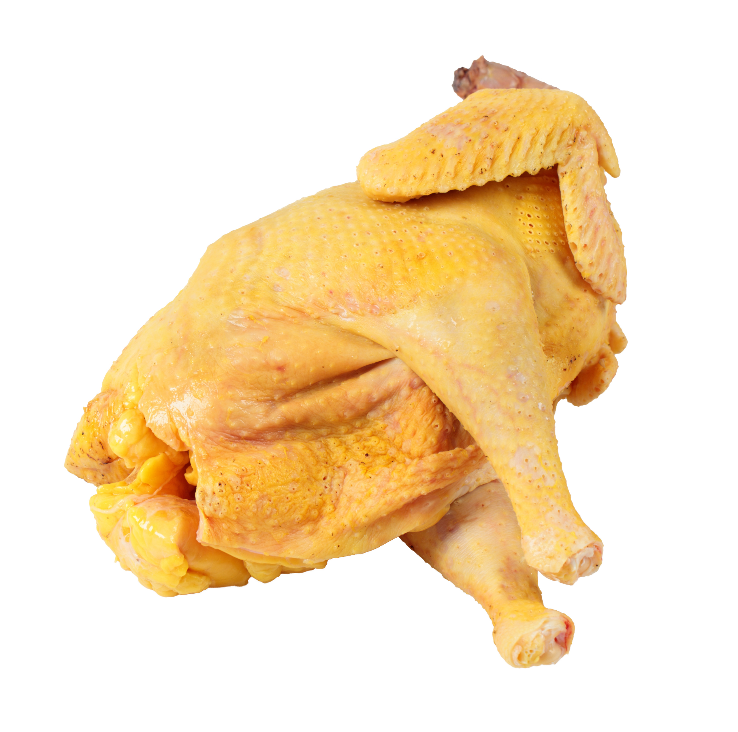 Почему курица желтая. Желтая курица. Тушка домашней курицы желтая. Домашняя курица желтая.