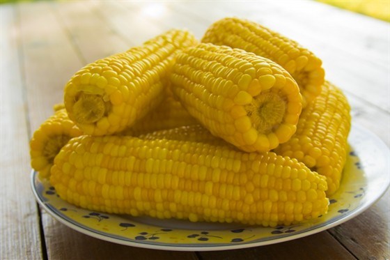 Молодая кукуруза в початках отварная — рецепты | Дзен