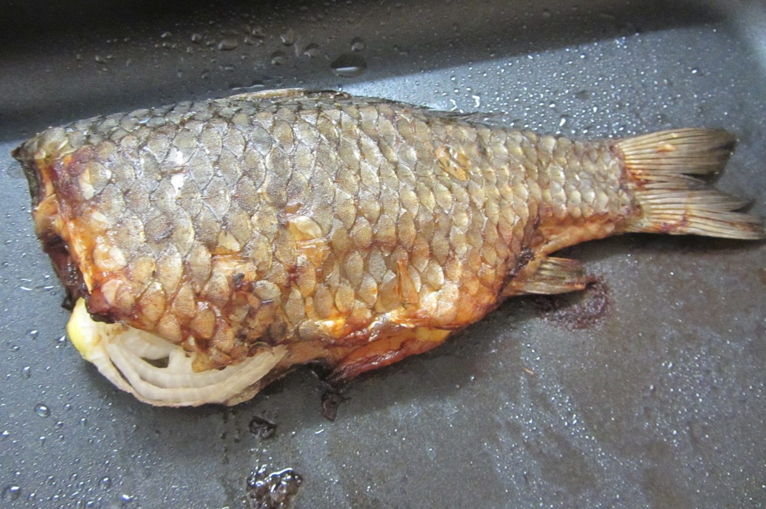 Рыба, запеченная в соли, по-хорватски