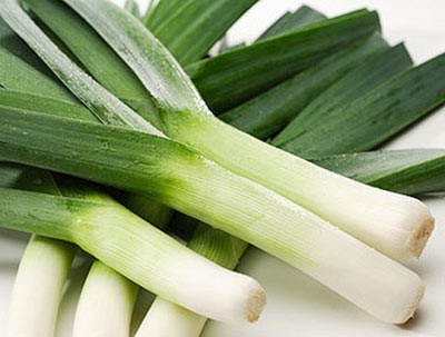 Сырный суп с молодым зеленым луком – пошаговый рецепт приготовления с фото