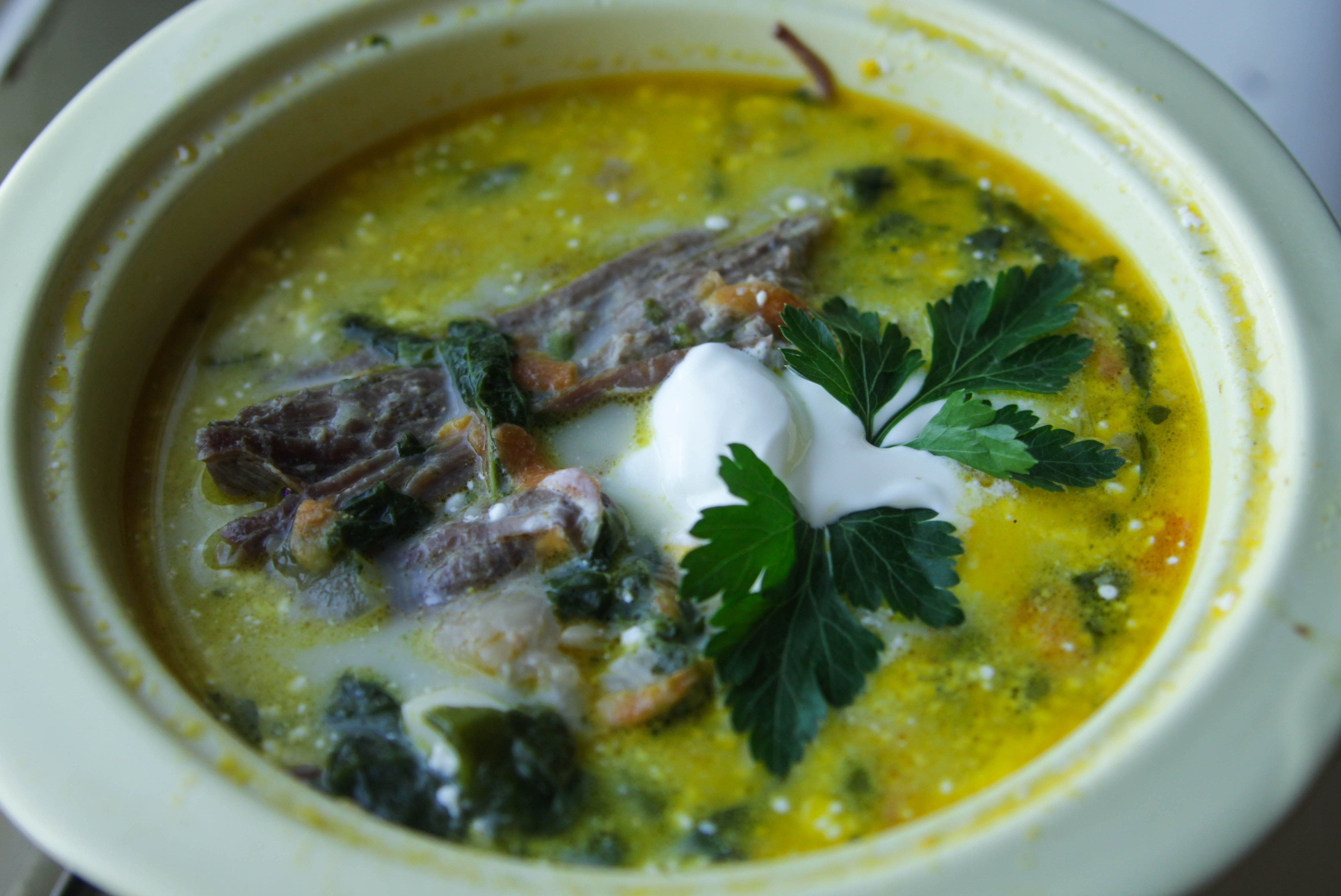 Супы из щавеля – 12 вкусных рецептов супов из щавеля, как приготовить суп из щавеля