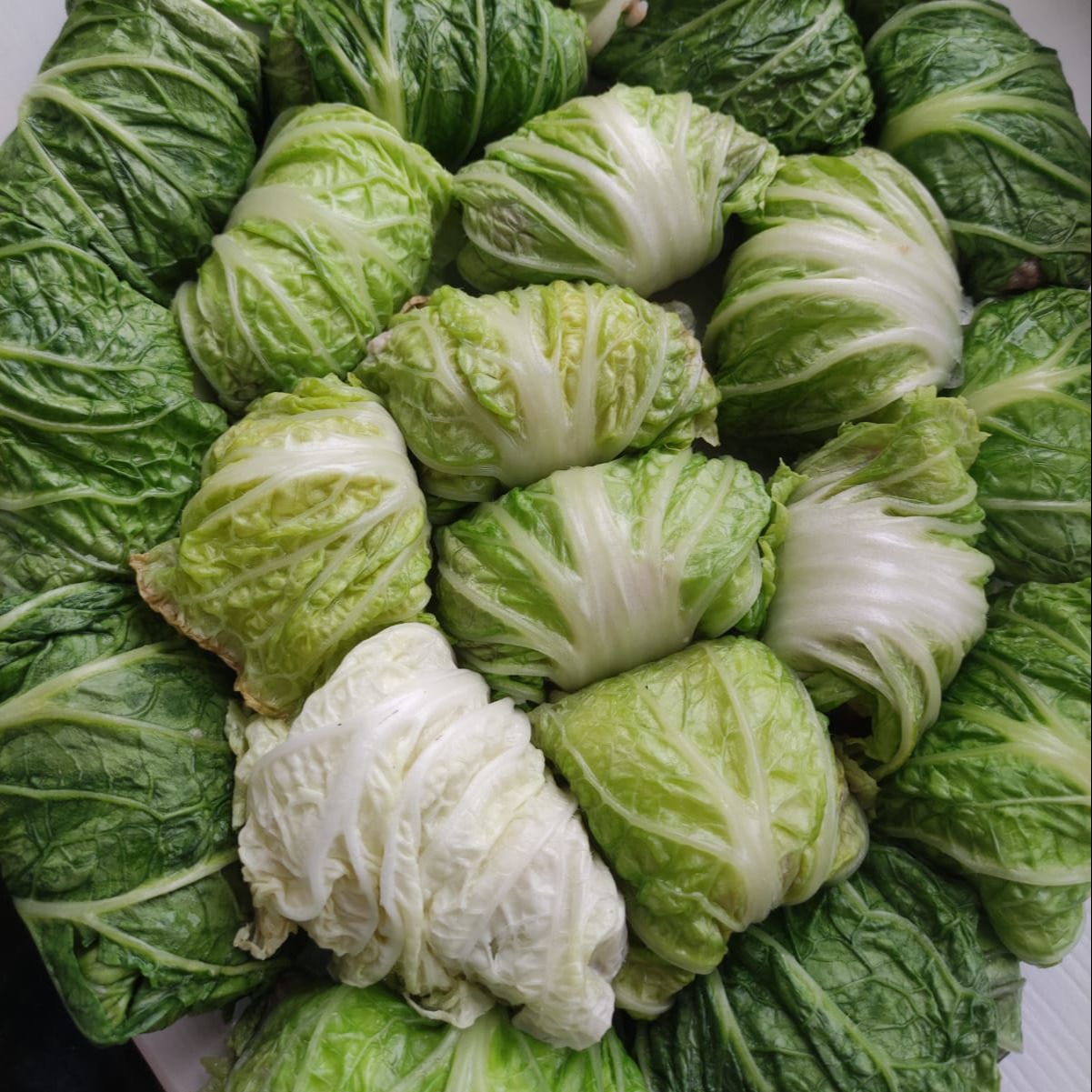 Голубцы из свежей капусты (в кастрюле): пошаговый рецепт с фото