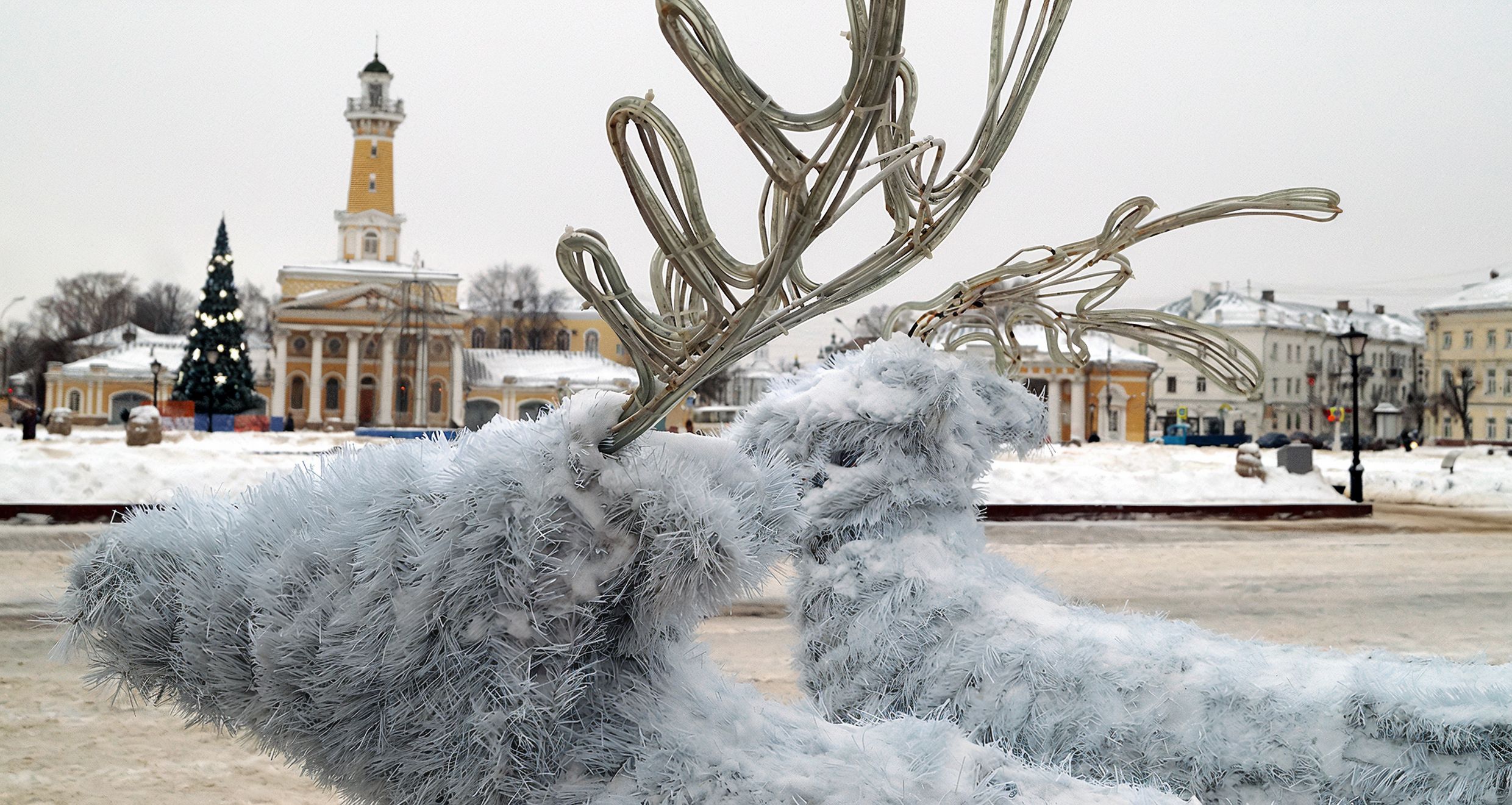 Кострома